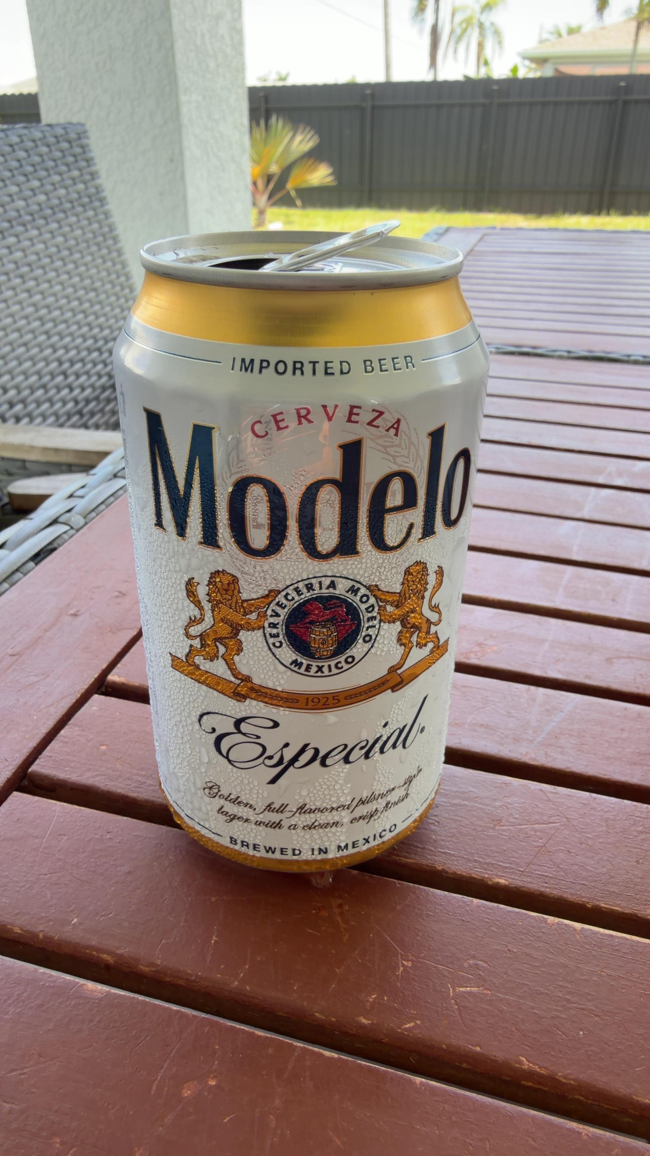 Modelo Especial Imported Beer β Single Can